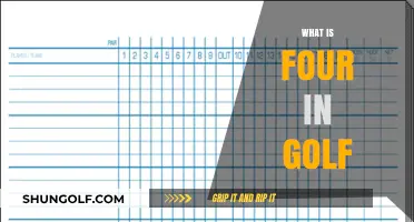 Golf's Four: A Beginner's Guide to the Sport's Unique Scoring