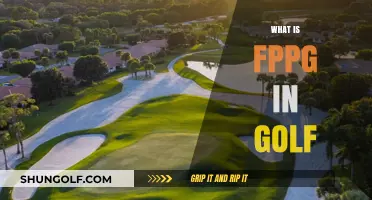 Understanding FPPG: Golf's Scoring Metric