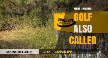Frisbee Golf: What's in a Name?