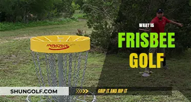 Discover the Fun of Frisbee Golf