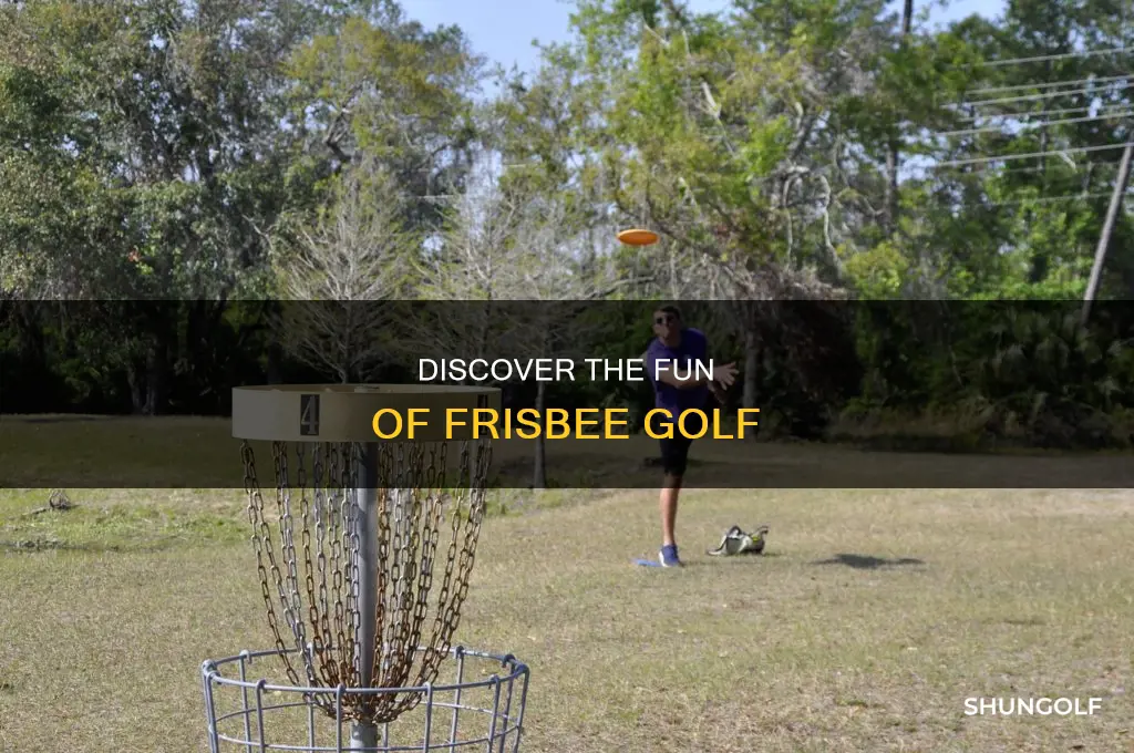 what is frisbee golf