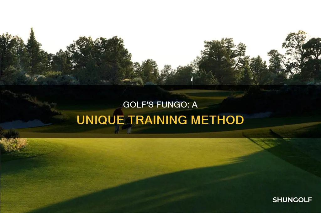 what is fungo golf
