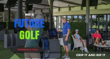 Golf's Evolution: What's Next for the Sport?