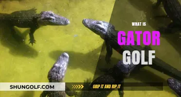 Gator Golf: Fun, Skill, and Competition