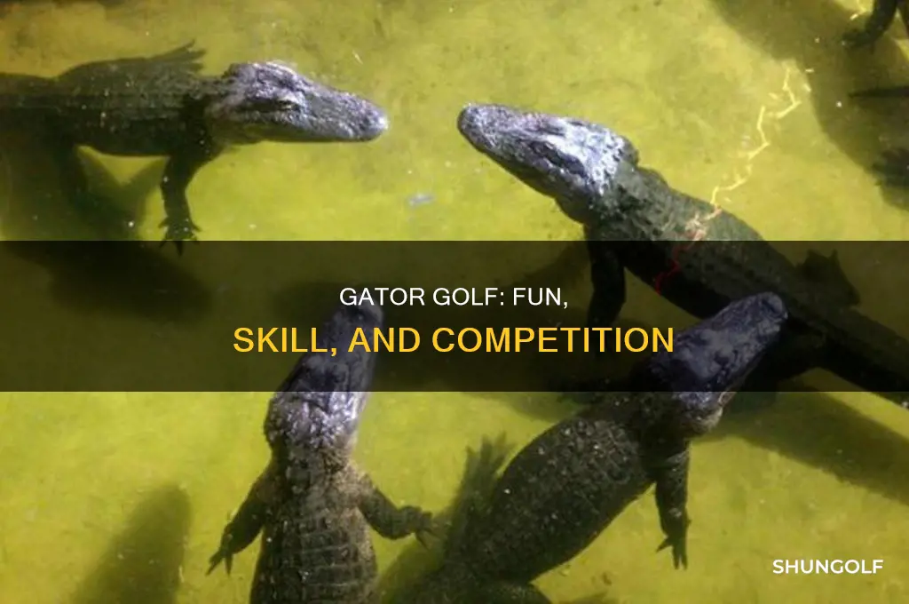 what is gator golf