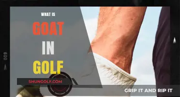 Goat in Golf: What's the Greatest Player?