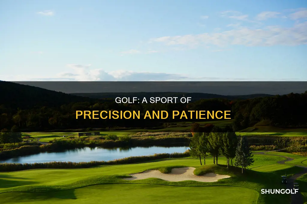 what is golf about