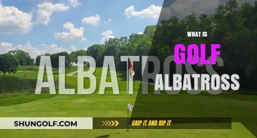 Albatross in Golf: Holing Out in Fewer Shots