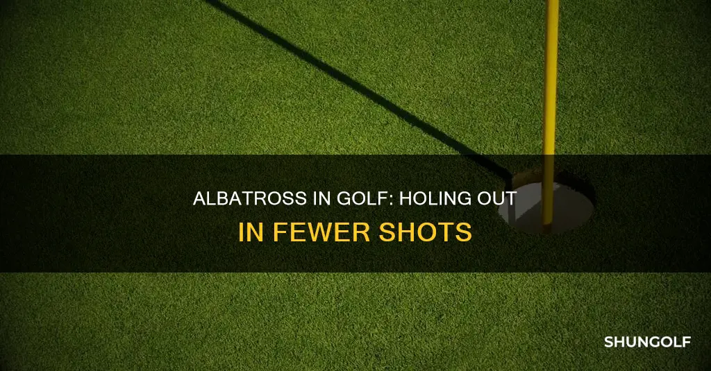 what is golf albatross