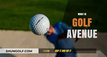 Golf Avenue: The Ultimate Golfer's Paradise