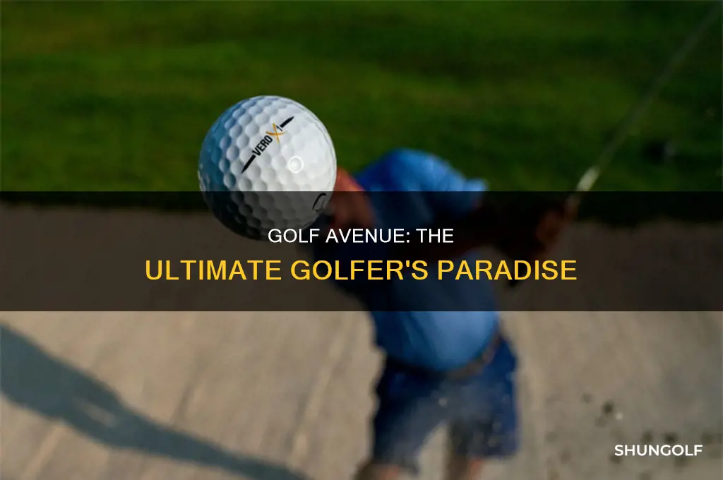 what is golf avenue