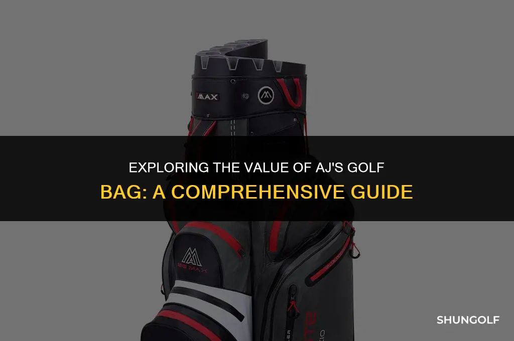 what is golf bag worth aj