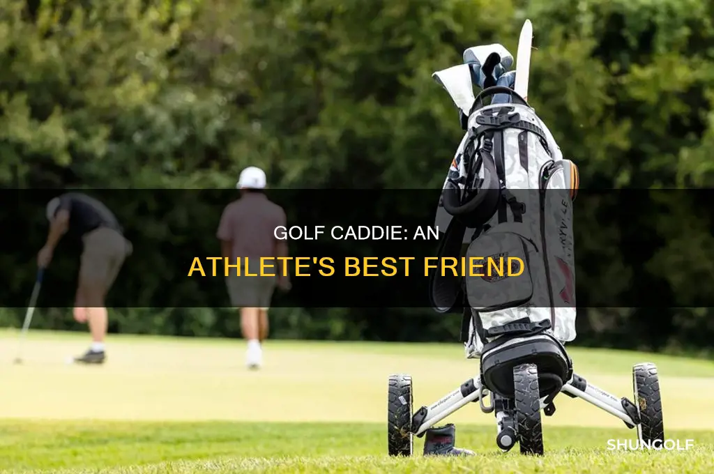 what is golf caddie