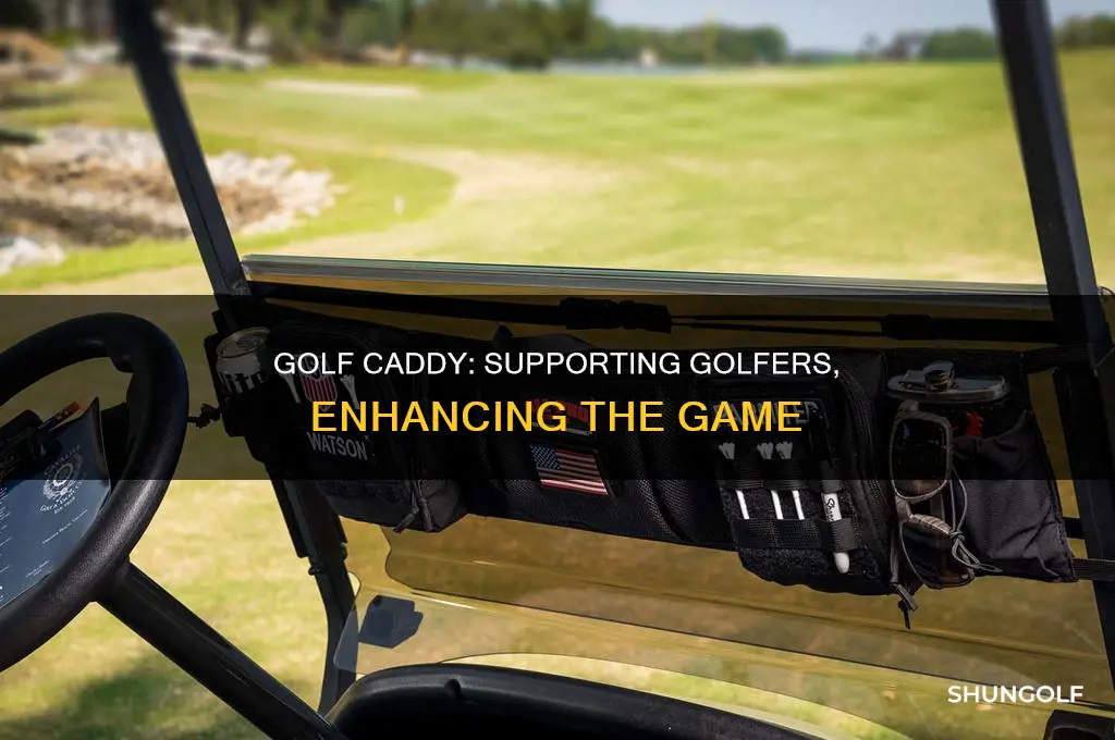 what is golf caddy job