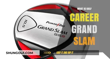 Golf's Most Prestigious Accolade: Career Grand Slam