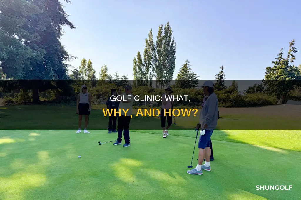 what is golf clinic