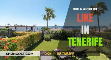 Exploring Golf del Sur: Tenerife's Hidden Gem and Lifestyle Guide