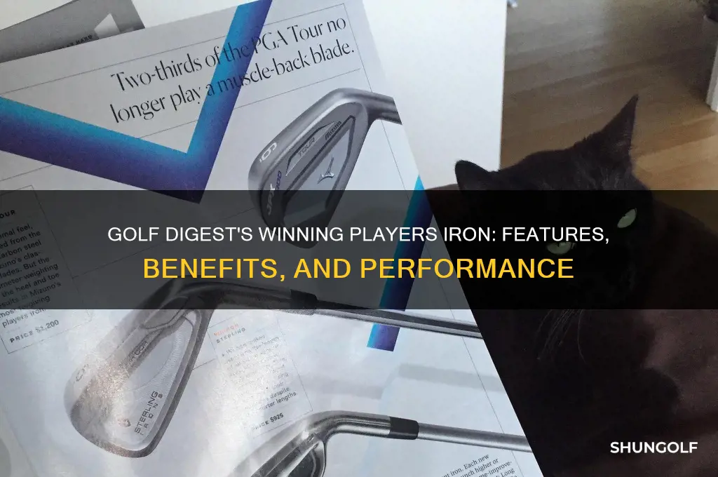 what is golf digest winning players iron