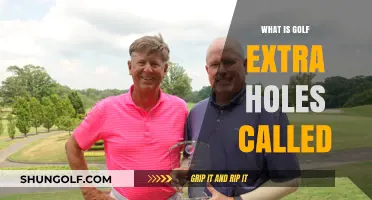 Understanding Golf's Sudden Death: What Are Extra Holes Called?