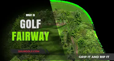 Golf Fairways: The Basics and Benefits