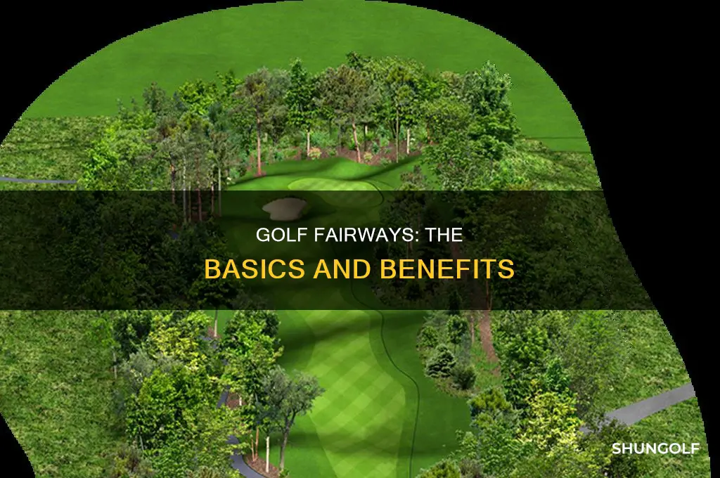 what is golf fairway