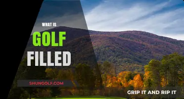 Golf-filled Days: A Beginner's Guide to the Game