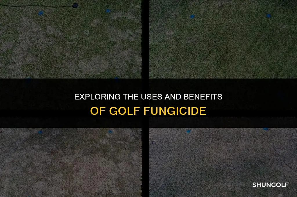 what is golf fungicide used for