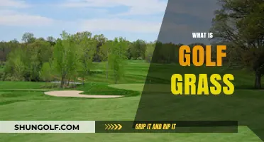 Golf Grass: The Science Behind the Green