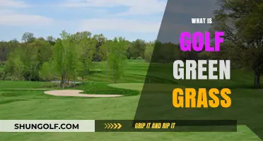 Golf Green Grass: A Comprehensive Guide