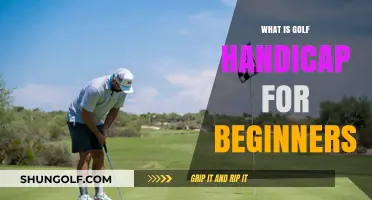 Understanding Golf Handicap: A Beginner's Guide to Fair Play