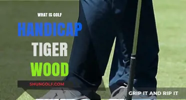 Understanding Golf Handicap: Tiger Woods' Impact and Scoring Explained