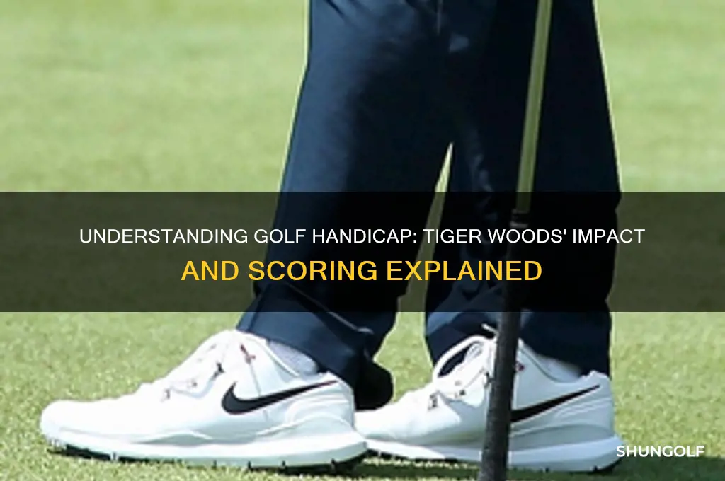 what is golf handicap tiger wood