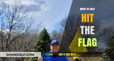 Golf Flag Hits: Luck or Skill?