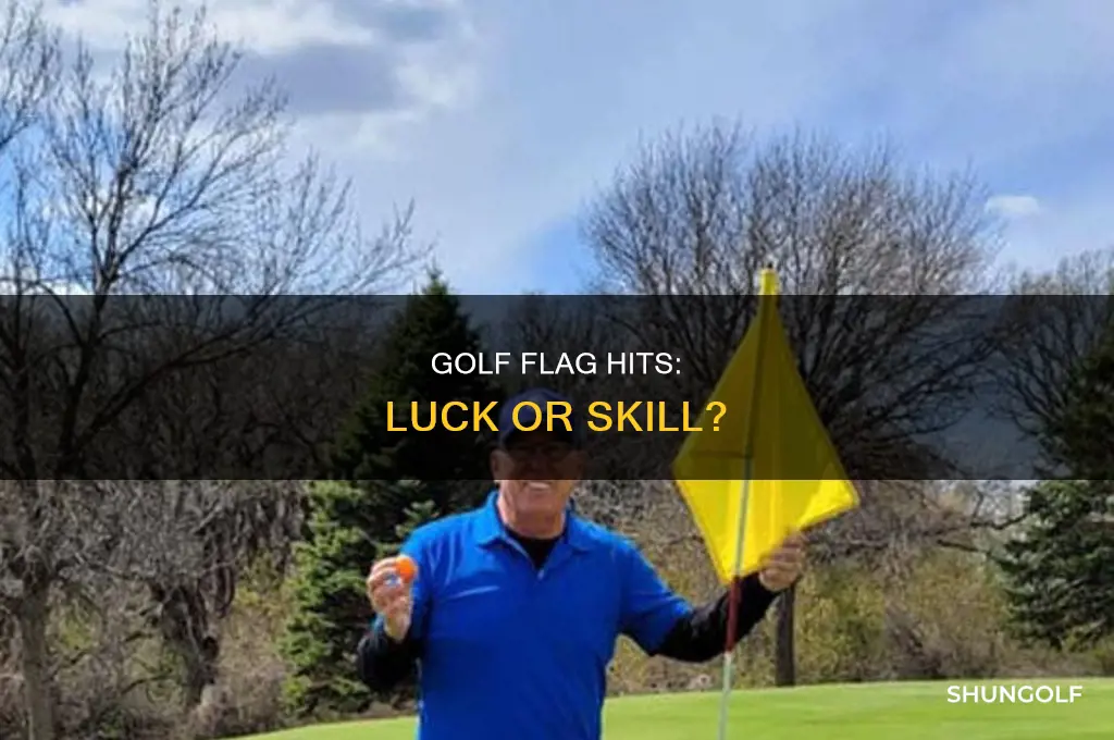 what is golf hit the flag