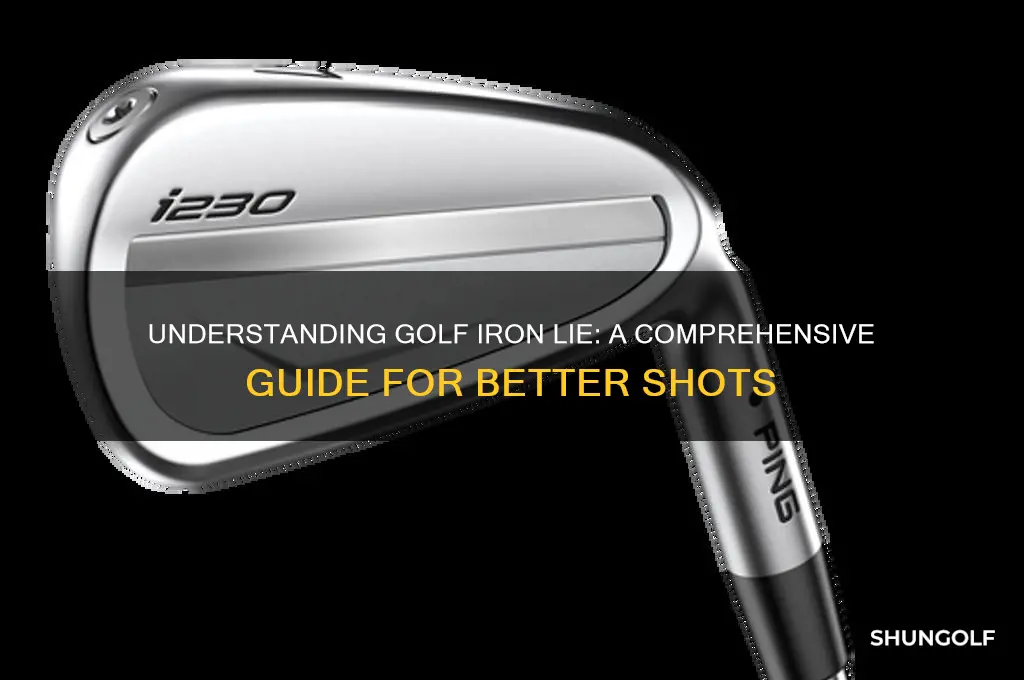 what is golf iron lie