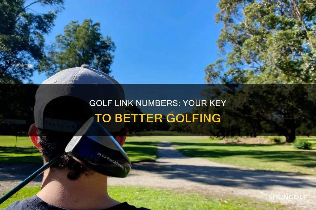 what is golf link number