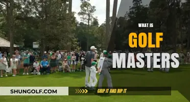 Golf Masters: The Ultimate Tournament