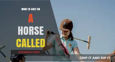 Exploring Polo: The Thrilling Sport of Golf on Horseback