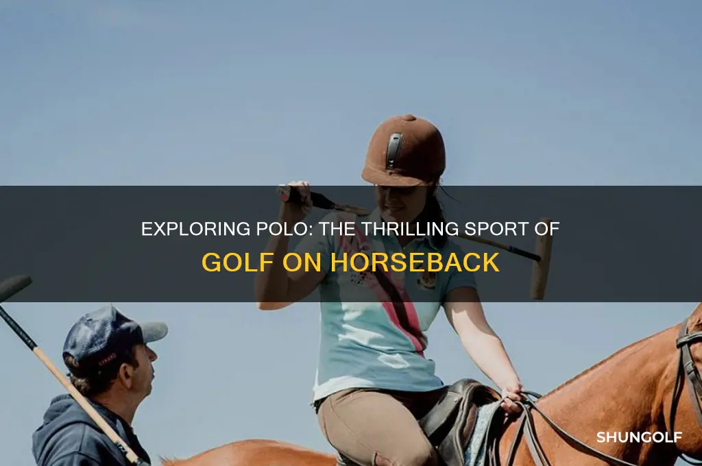 what is golf on a horse called