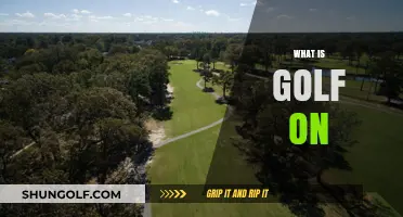 Golf Courses: Where the Game Unfolds
