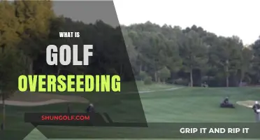 Golf Overseeding: Why, When, and How?