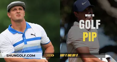 Golf PIP: Understanding the Performance-Improving Feature