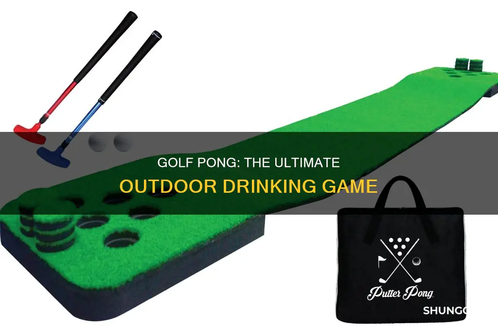 what is golf pong