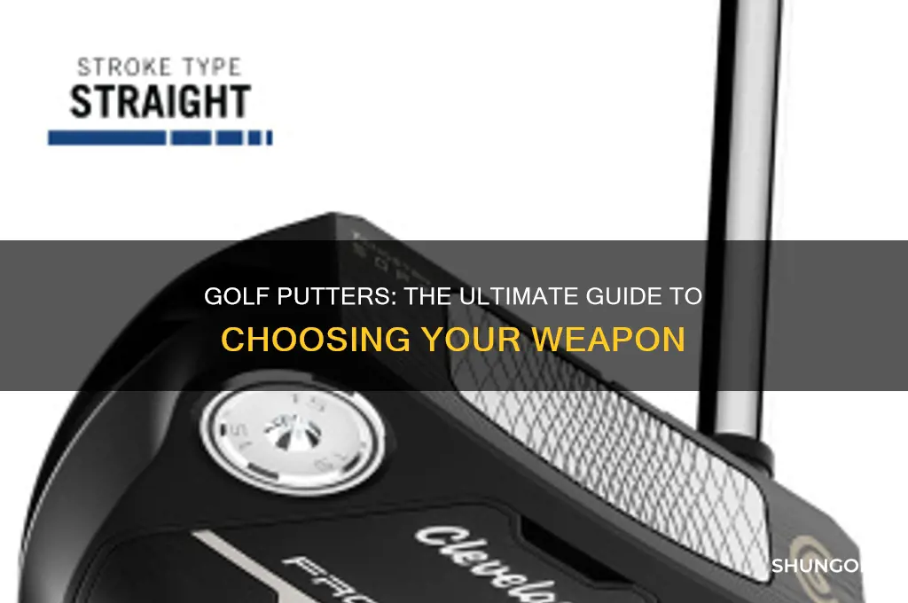 what is golf putters