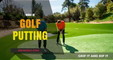 Putting: The Art of Golf Precision