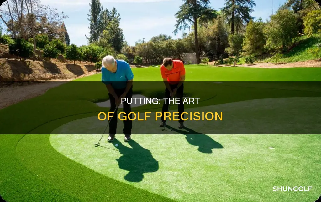 what is golf putting