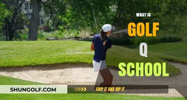 Golf Q School: Path to Pro