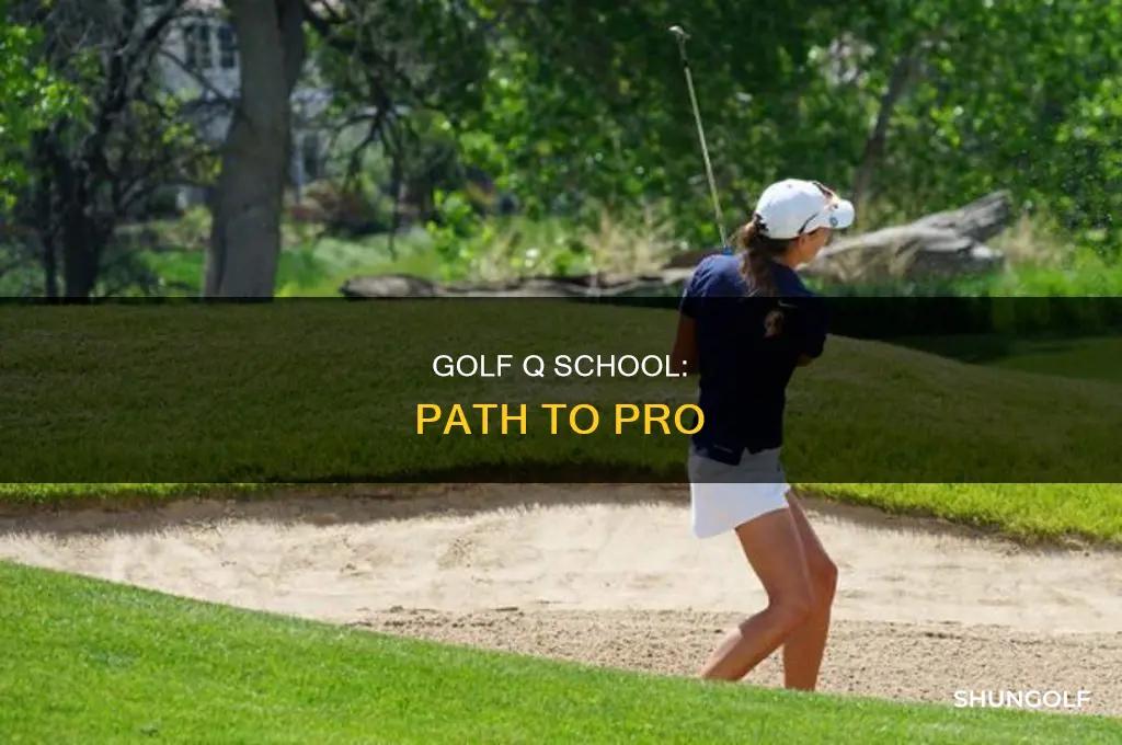 what is golf q school
