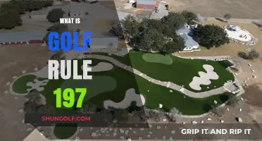 Understanding Golf's 'Relief from a Wrong Putting Green' Rule