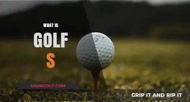 Golf's Evolution: The Sport's Transformation